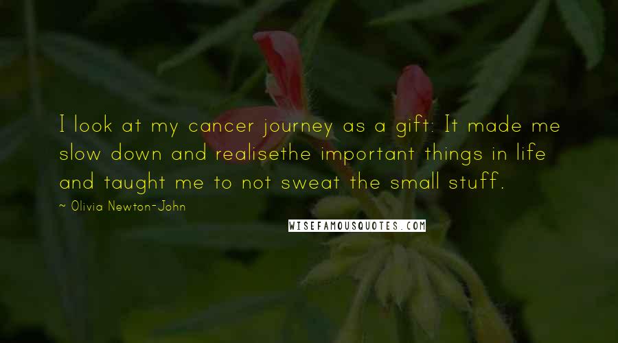 Olivia Newton-John Quotes: I look at my cancer journey as a gift: It made me slow down and realisethe important things in life and taught me to not sweat the small stuff.
