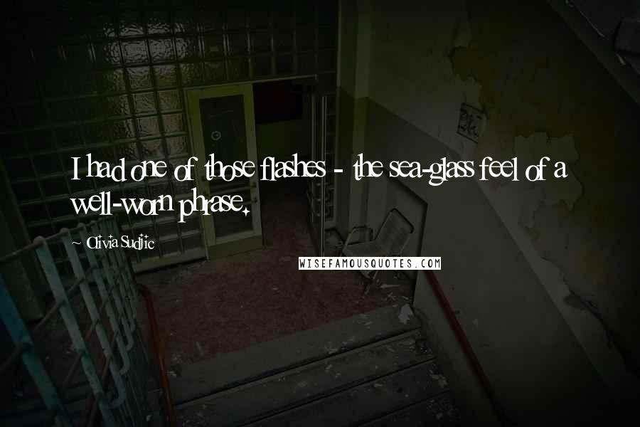 Olivia Sudjic Quotes: I had one of those flashes - the sea-glass feel of a well-worn phrase.