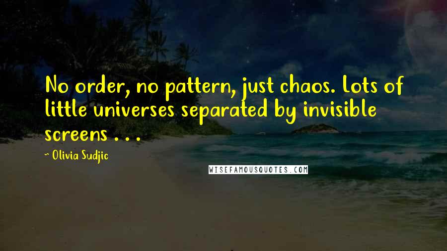 Olivia Sudjic Quotes: No order, no pattern, just chaos. Lots of little universes separated by invisible screens . . .