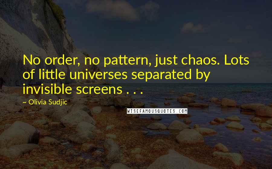 Olivia Sudjic Quotes: No order, no pattern, just chaos. Lots of little universes separated by invisible screens . . .