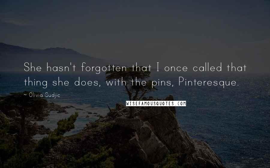 Olivia Sudjic Quotes: She hasn't forgotten that I once called that thing she does, with the pins, Pinteresque.