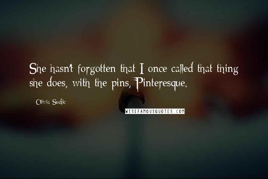 Olivia Sudjic Quotes: She hasn't forgotten that I once called that thing she does, with the pins, Pinteresque.