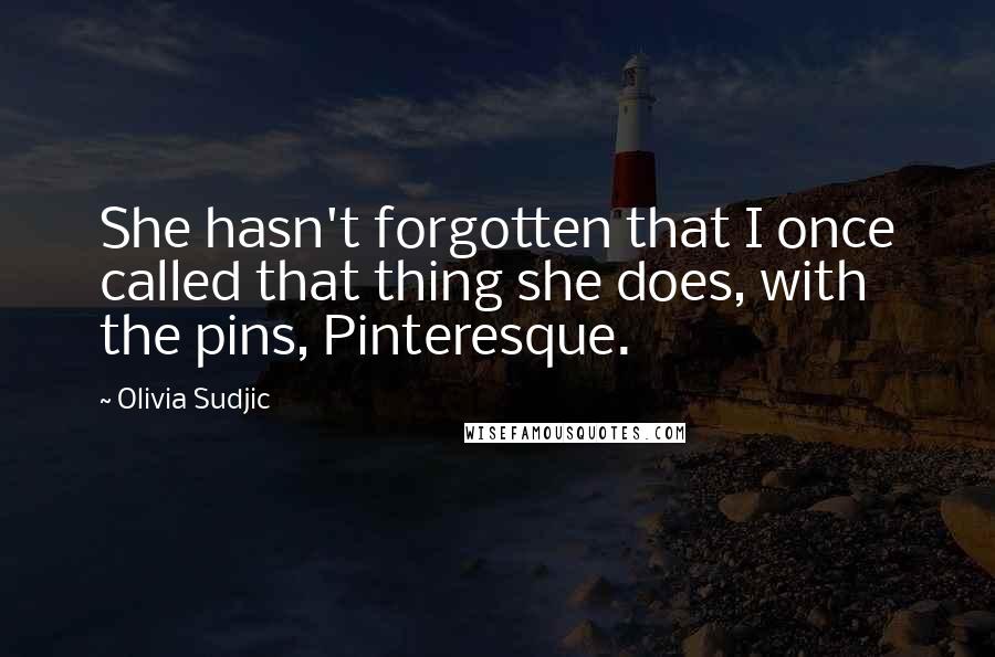 Olivia Sudjic Quotes: She hasn't forgotten that I once called that thing she does, with the pins, Pinteresque.