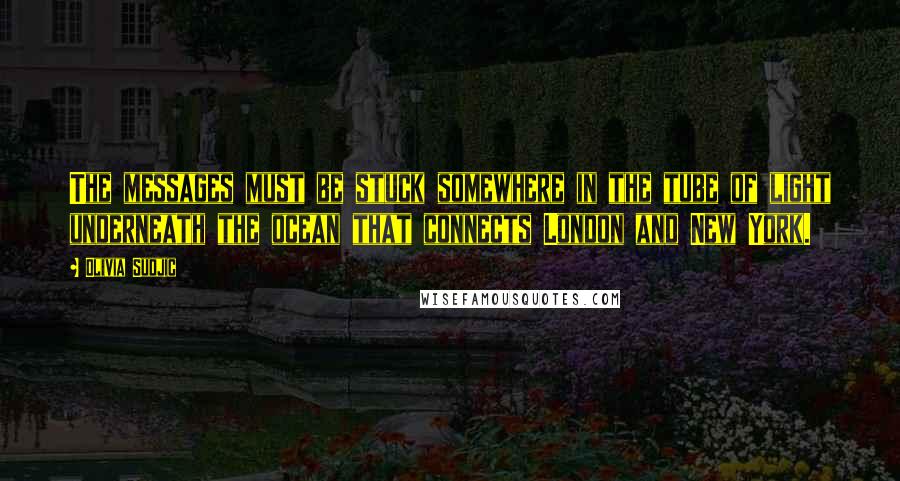 Olivia Sudjic Quotes: The messages must be stuck somewhere in the tube of light underneath the ocean that connects London and New York.