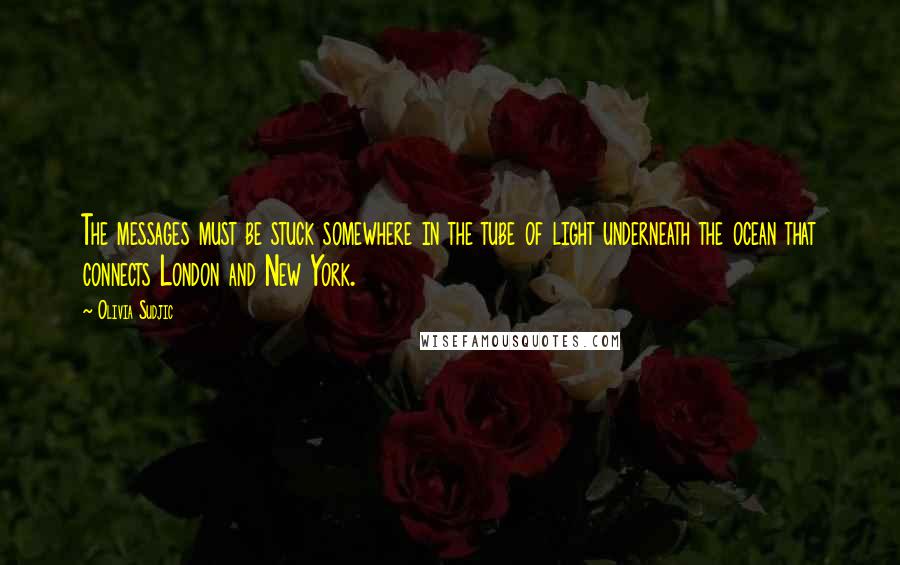 Olivia Sudjic Quotes: The messages must be stuck somewhere in the tube of light underneath the ocean that connects London and New York.