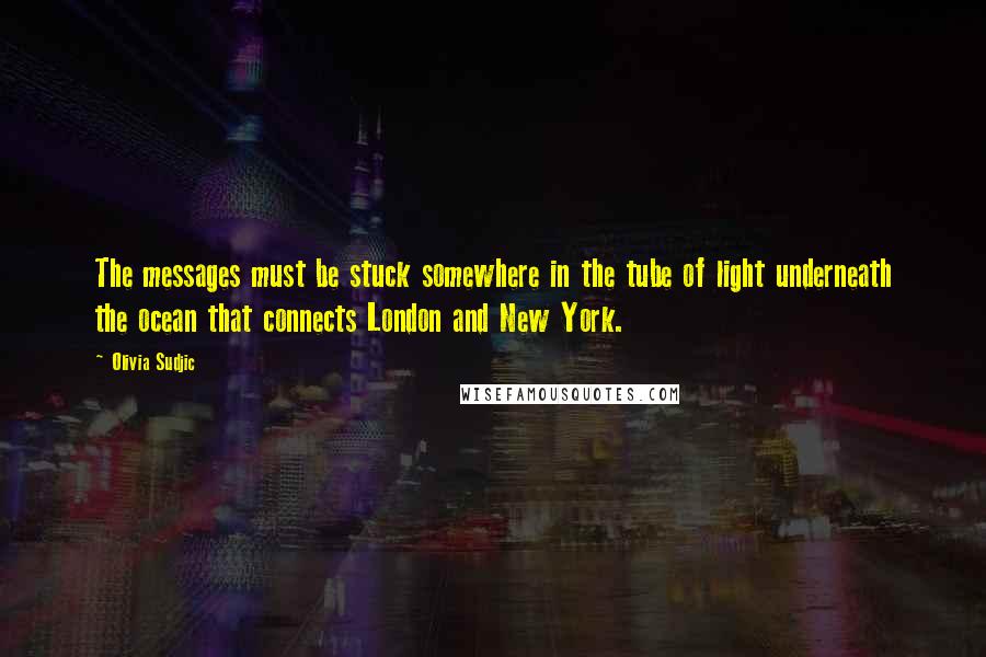 Olivia Sudjic Quotes: The messages must be stuck somewhere in the tube of light underneath the ocean that connects London and New York.