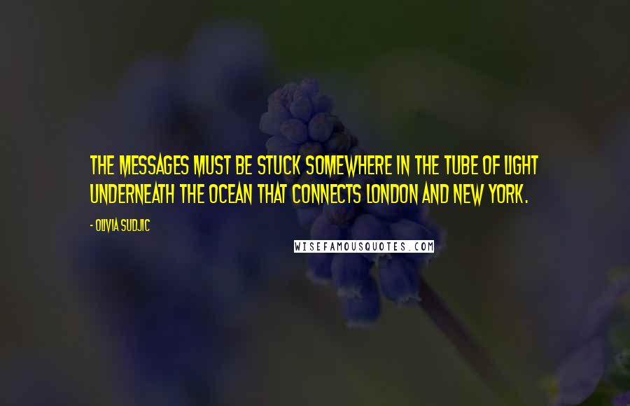 Olivia Sudjic Quotes: The messages must be stuck somewhere in the tube of light underneath the ocean that connects London and New York.