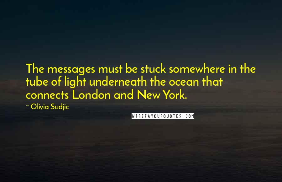Olivia Sudjic Quotes: The messages must be stuck somewhere in the tube of light underneath the ocean that connects London and New York.