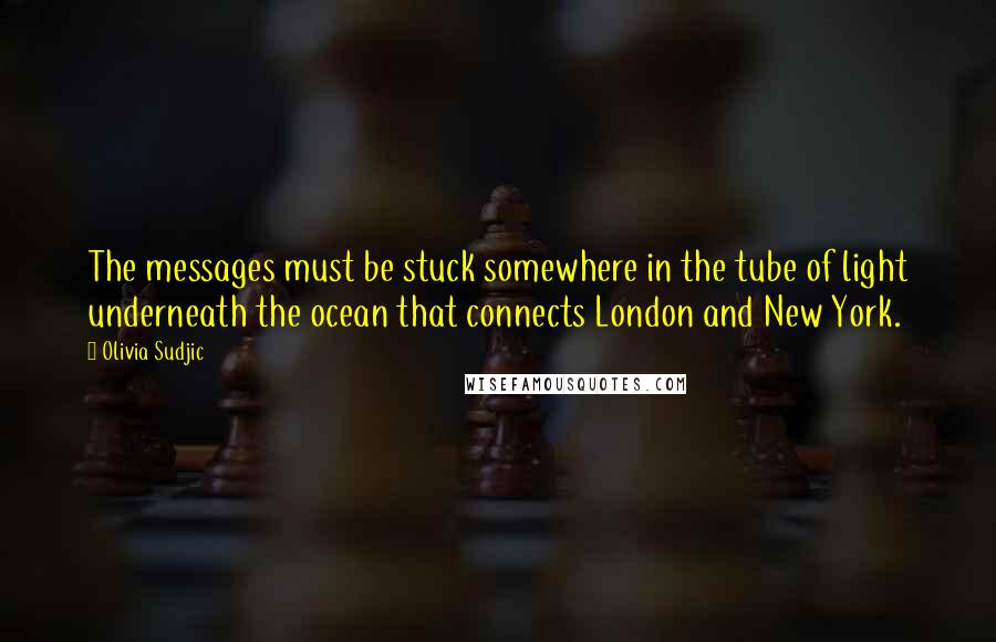 Olivia Sudjic Quotes: The messages must be stuck somewhere in the tube of light underneath the ocean that connects London and New York.