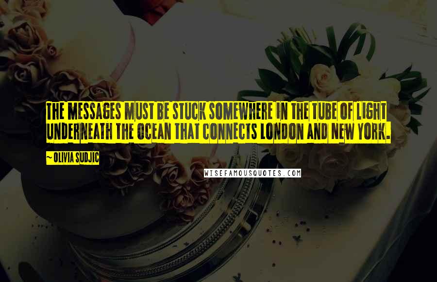 Olivia Sudjic Quotes: The messages must be stuck somewhere in the tube of light underneath the ocean that connects London and New York.