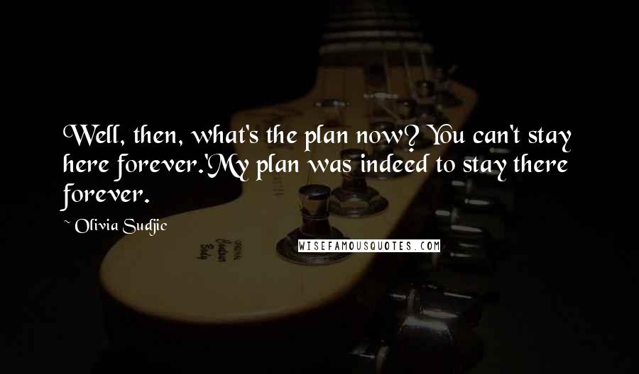 Olivia Sudjic Quotes: Well, then, what's the plan now? You can't stay here forever.'My plan was indeed to stay there forever.