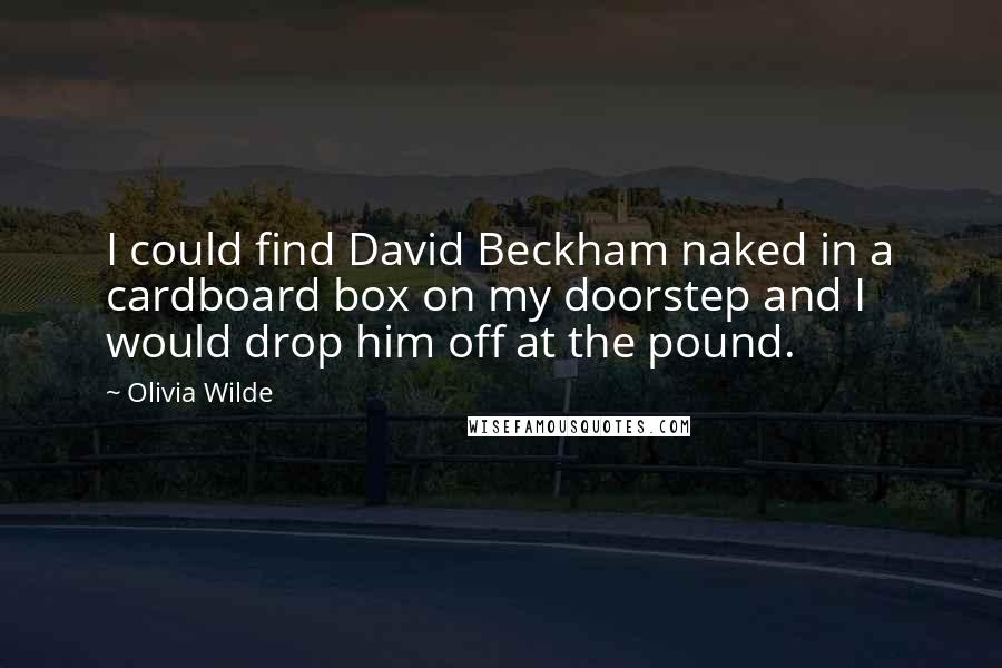 Olivia Wilde Quotes: I could find David Beckham naked in a cardboard box on my doorstep and I would drop him off at the pound.