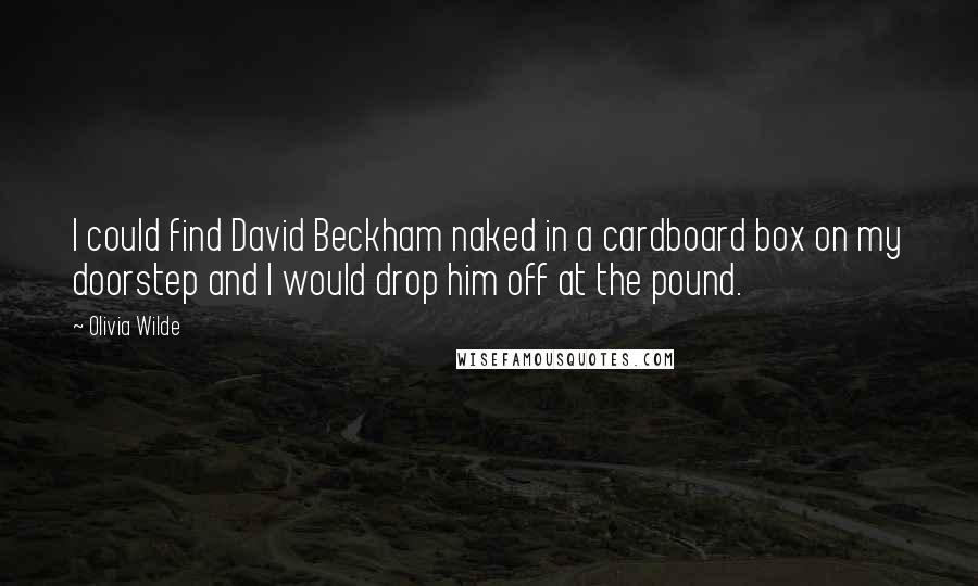 Olivia Wilde Quotes: I could find David Beckham naked in a cardboard box on my doorstep and I would drop him off at the pound.