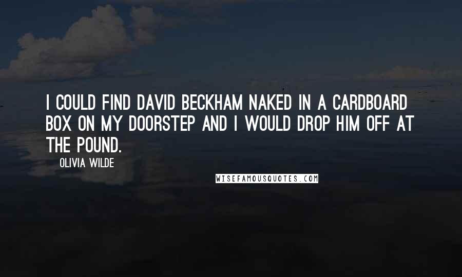 Olivia Wilde Quotes: I could find David Beckham naked in a cardboard box on my doorstep and I would drop him off at the pound.