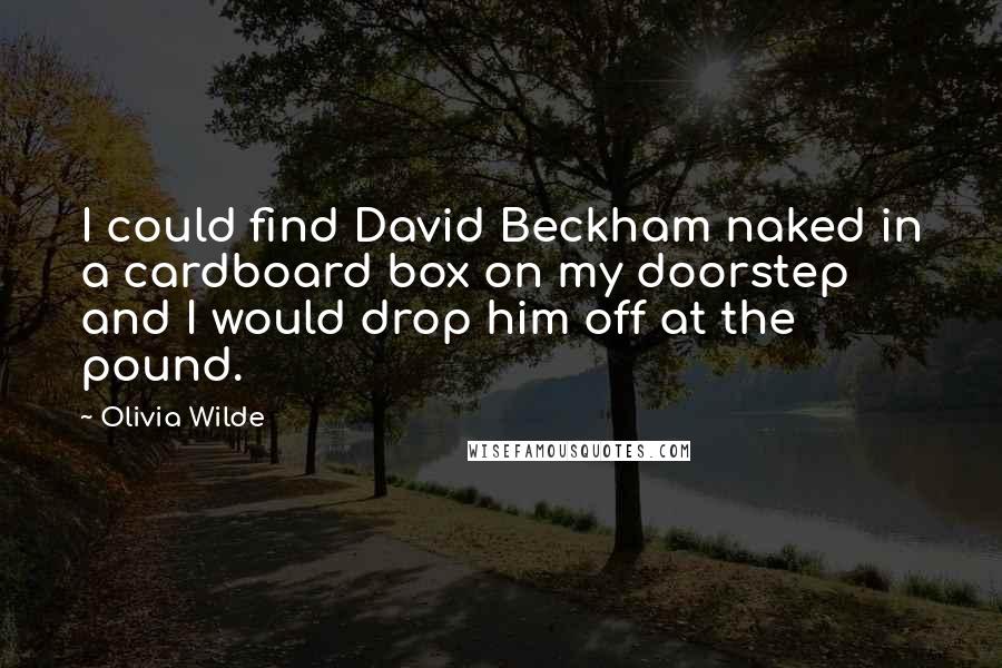 Olivia Wilde Quotes: I could find David Beckham naked in a cardboard box on my doorstep and I would drop him off at the pound.