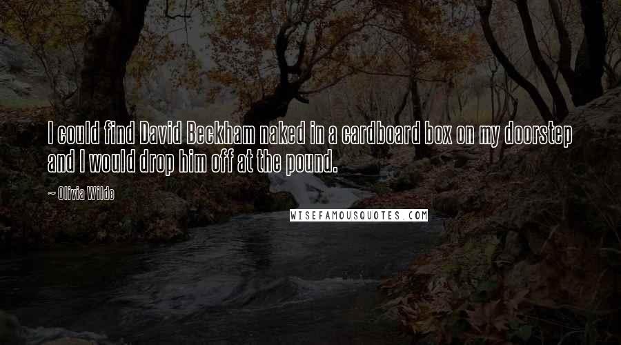 Olivia Wilde Quotes: I could find David Beckham naked in a cardboard box on my doorstep and I would drop him off at the pound.