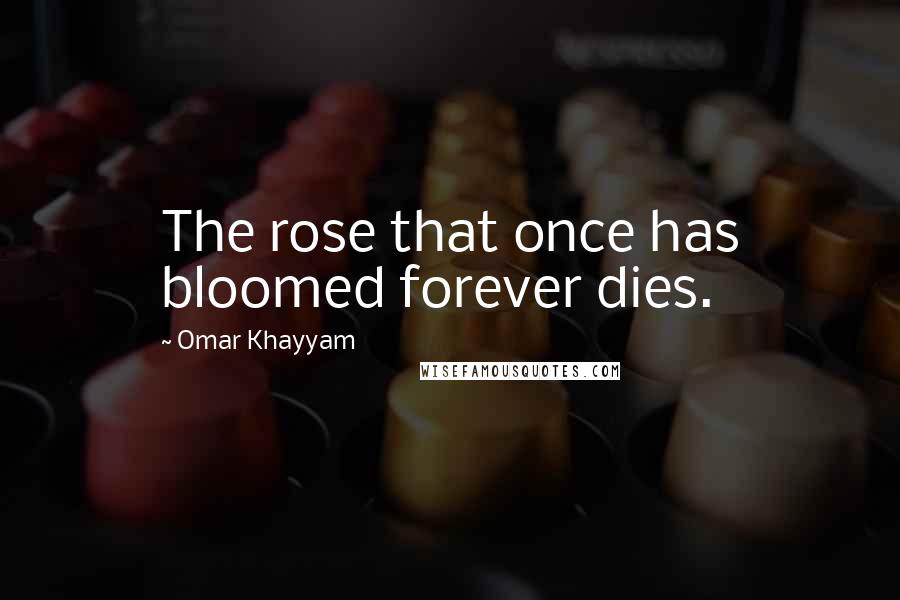 Omar Khayyam Quotes: The rose that once has bloomed forever dies.