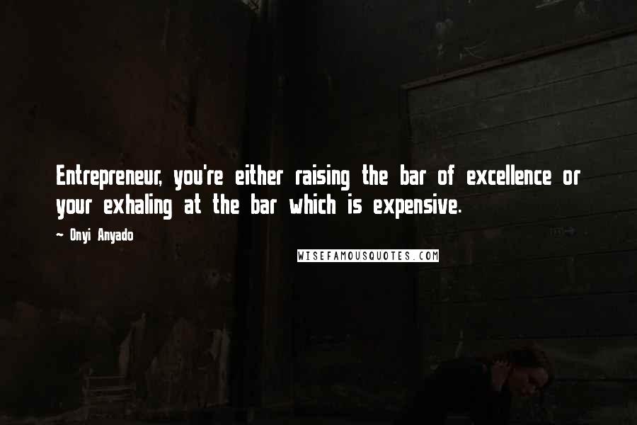 Onyi Anyado Quotes: Entrepreneur, you're either raising the bar of excellence or your exhaling at the bar which is expensive.