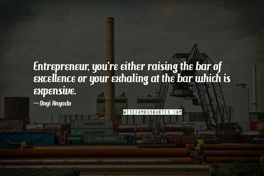 Onyi Anyado Quotes: Entrepreneur, you're either raising the bar of excellence or your exhaling at the bar which is expensive.