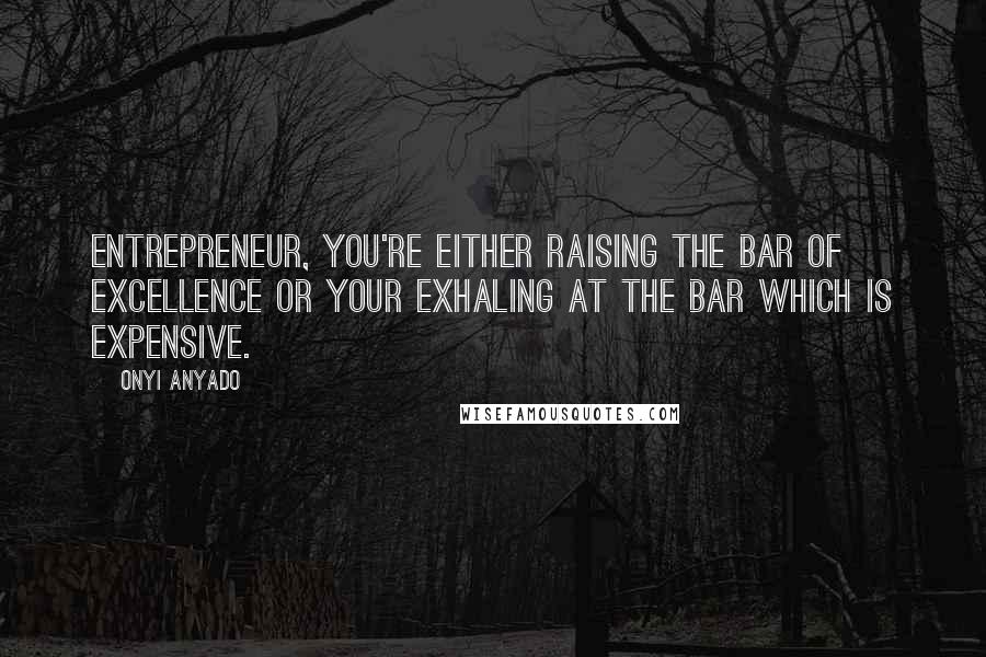 Onyi Anyado Quotes: Entrepreneur, you're either raising the bar of excellence or your exhaling at the bar which is expensive.