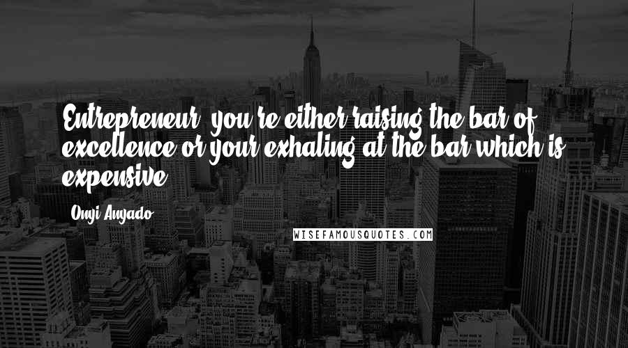 Onyi Anyado Quotes: Entrepreneur, you're either raising the bar of excellence or your exhaling at the bar which is expensive.