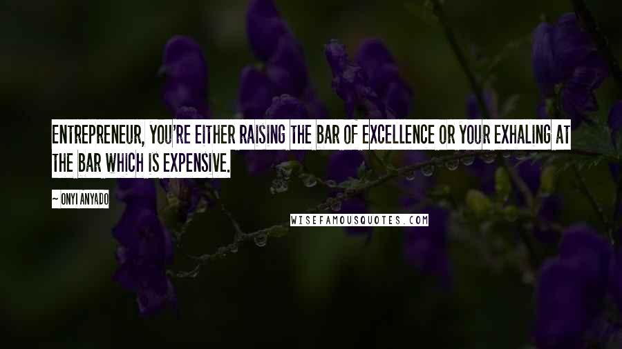 Onyi Anyado Quotes: Entrepreneur, you're either raising the bar of excellence or your exhaling at the bar which is expensive.