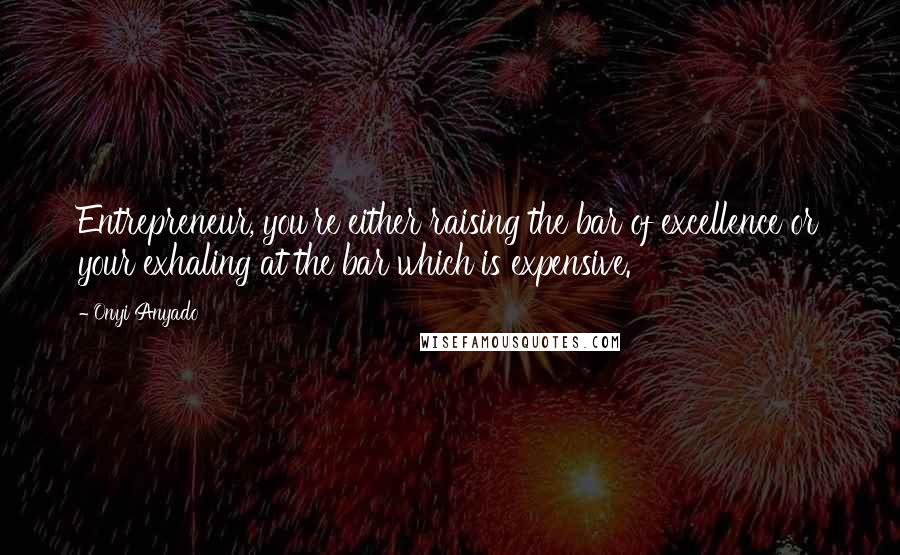 Onyi Anyado Quotes: Entrepreneur, you're either raising the bar of excellence or your exhaling at the bar which is expensive.