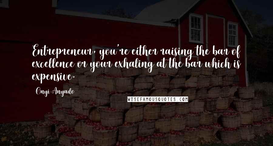 Onyi Anyado Quotes: Entrepreneur, you're either raising the bar of excellence or your exhaling at the bar which is expensive.