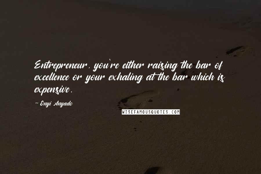 Onyi Anyado Quotes: Entrepreneur, you're either raising the bar of excellence or your exhaling at the bar which is expensive.
