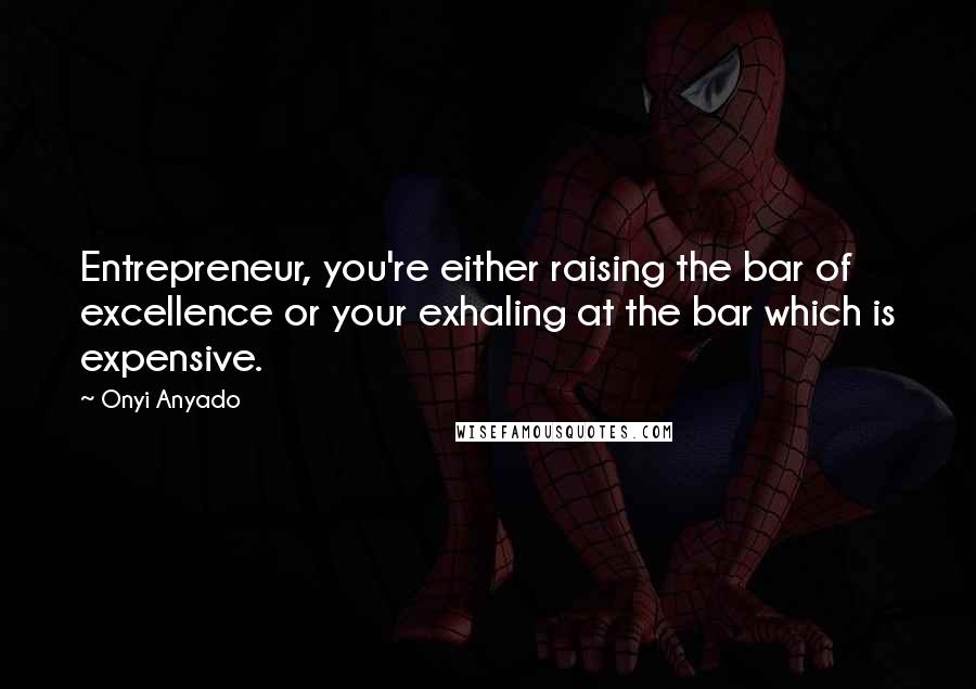 Onyi Anyado Quotes: Entrepreneur, you're either raising the bar of excellence or your exhaling at the bar which is expensive.