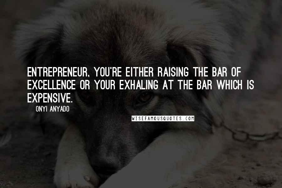 Onyi Anyado Quotes: Entrepreneur, you're either raising the bar of excellence or your exhaling at the bar which is expensive.