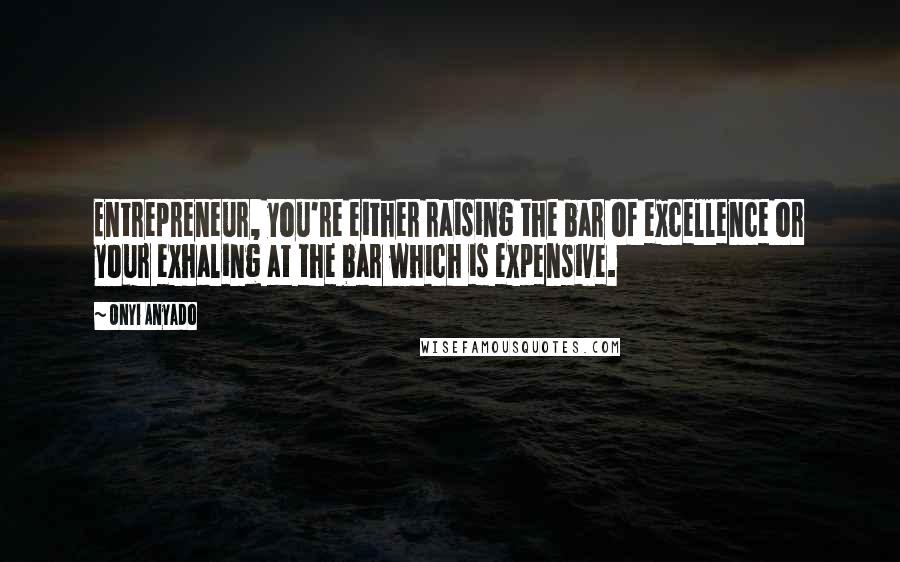 Onyi Anyado Quotes: Entrepreneur, you're either raising the bar of excellence or your exhaling at the bar which is expensive.