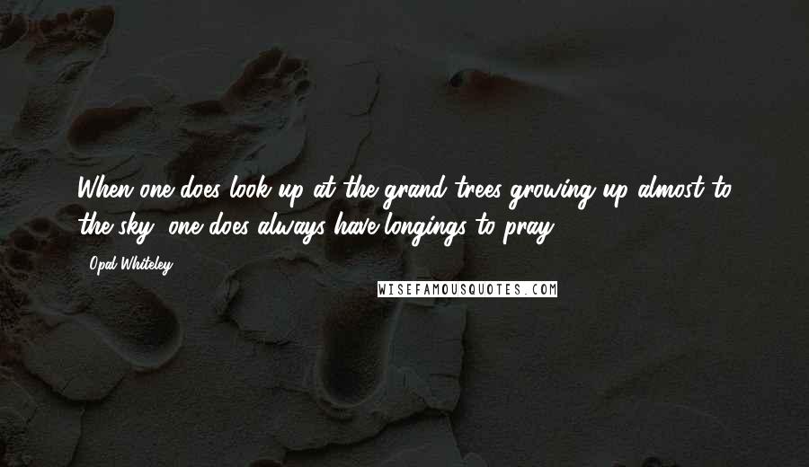 Opal Whiteley Quotes: When one does look up at the grand trees growing up almost to the sky, one does always have longings to pray.