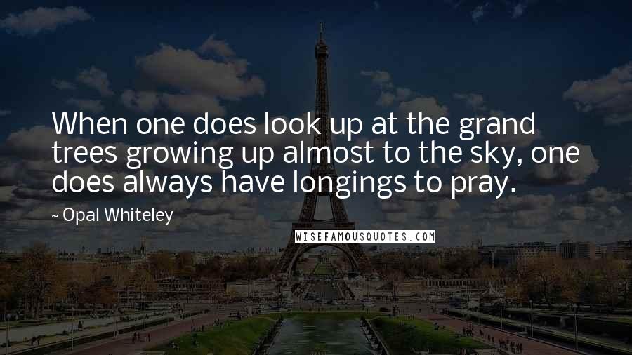 Opal Whiteley Quotes: When one does look up at the grand trees growing up almost to the sky, one does always have longings to pray.