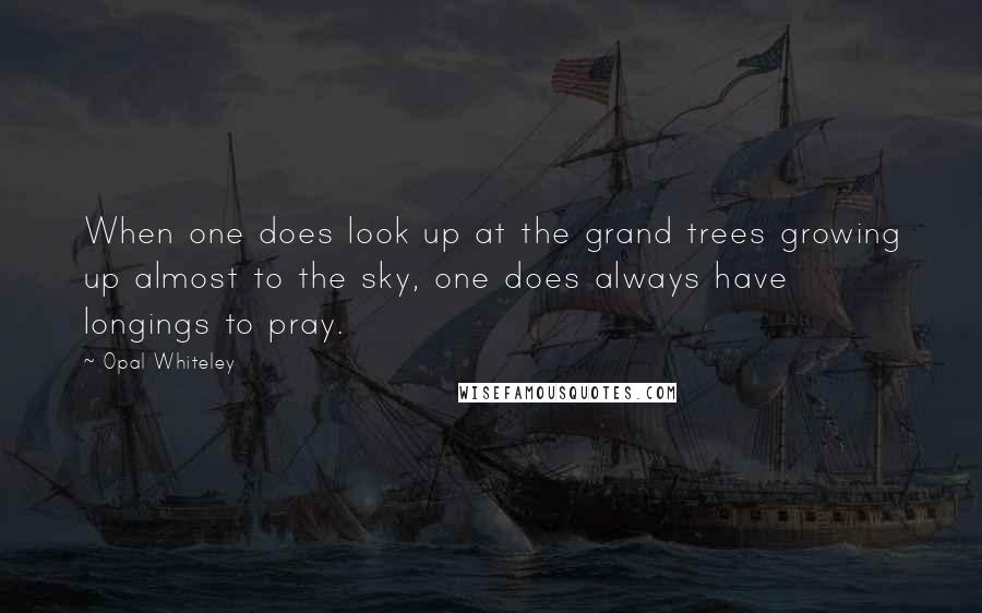 Opal Whiteley Quotes: When one does look up at the grand trees growing up almost to the sky, one does always have longings to pray.