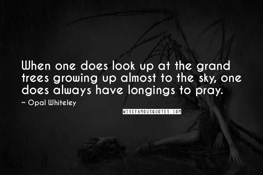 Opal Whiteley Quotes: When one does look up at the grand trees growing up almost to the sky, one does always have longings to pray.