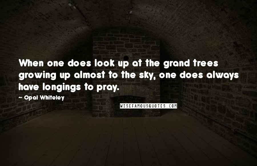 Opal Whiteley Quotes: When one does look up at the grand trees growing up almost to the sky, one does always have longings to pray.