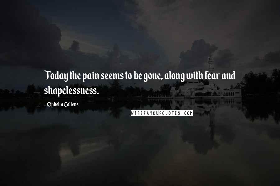 Ophelia Callens Quotes: Today the pain seems to be gone, along with fear and shapelessness.