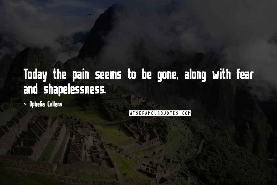 Ophelia Callens Quotes: Today the pain seems to be gone, along with fear and shapelessness.