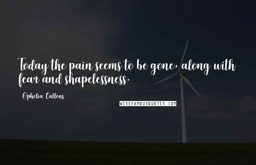 Ophelia Callens Quotes: Today the pain seems to be gone, along with fear and shapelessness.