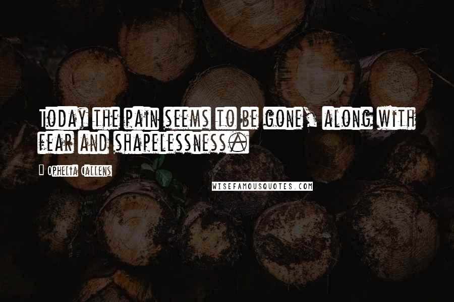 Ophelia Callens Quotes: Today the pain seems to be gone, along with fear and shapelessness.