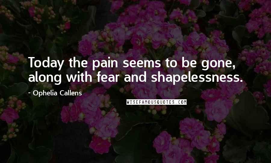 Ophelia Callens Quotes: Today the pain seems to be gone, along with fear and shapelessness.