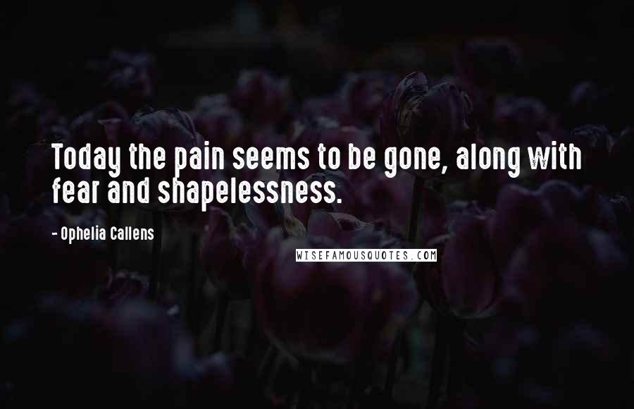 Ophelia Callens Quotes: Today the pain seems to be gone, along with fear and shapelessness.