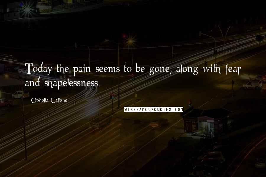 Ophelia Callens Quotes: Today the pain seems to be gone, along with fear and shapelessness.