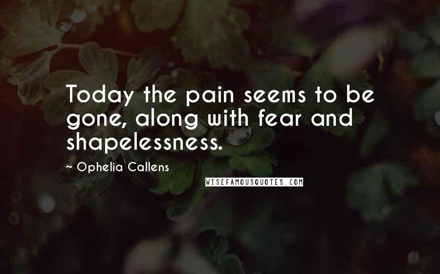 Ophelia Callens Quotes: Today the pain seems to be gone, along with fear and shapelessness.