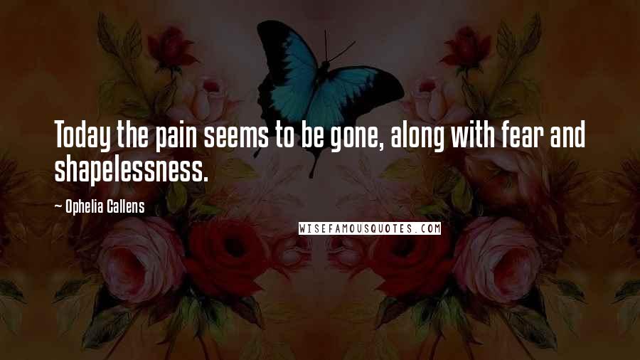 Ophelia Callens Quotes: Today the pain seems to be gone, along with fear and shapelessness.