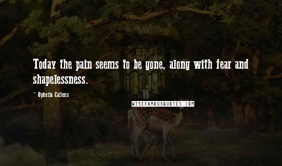 Ophelia Callens Quotes: Today the pain seems to be gone, along with fear and shapelessness.