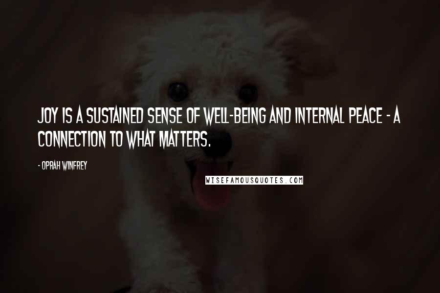 Oprah Winfrey Quotes: Joy is a sustained sense of well-being and internal peace - a connection to what matters.