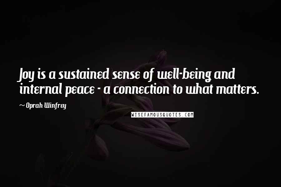 Oprah Winfrey Quotes: Joy is a sustained sense of well-being and internal peace - a connection to what matters.