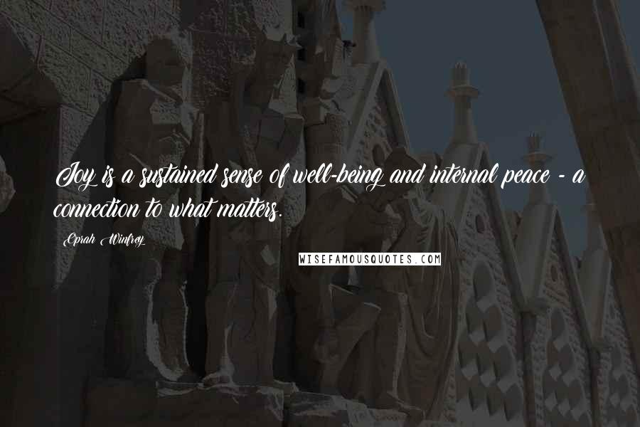 Oprah Winfrey Quotes: Joy is a sustained sense of well-being and internal peace - a connection to what matters.